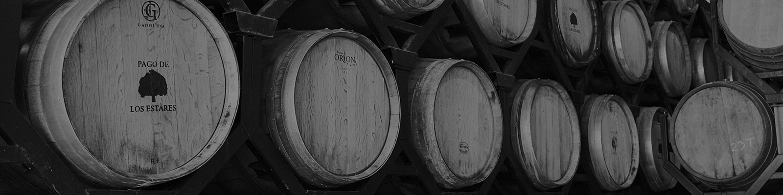 Barricas de Bodega Pago de los Estares en Fonpedraza Ribera del Duero